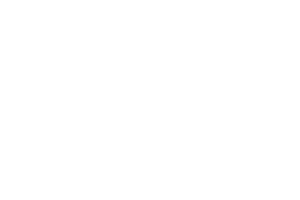 logo_xprpro_light